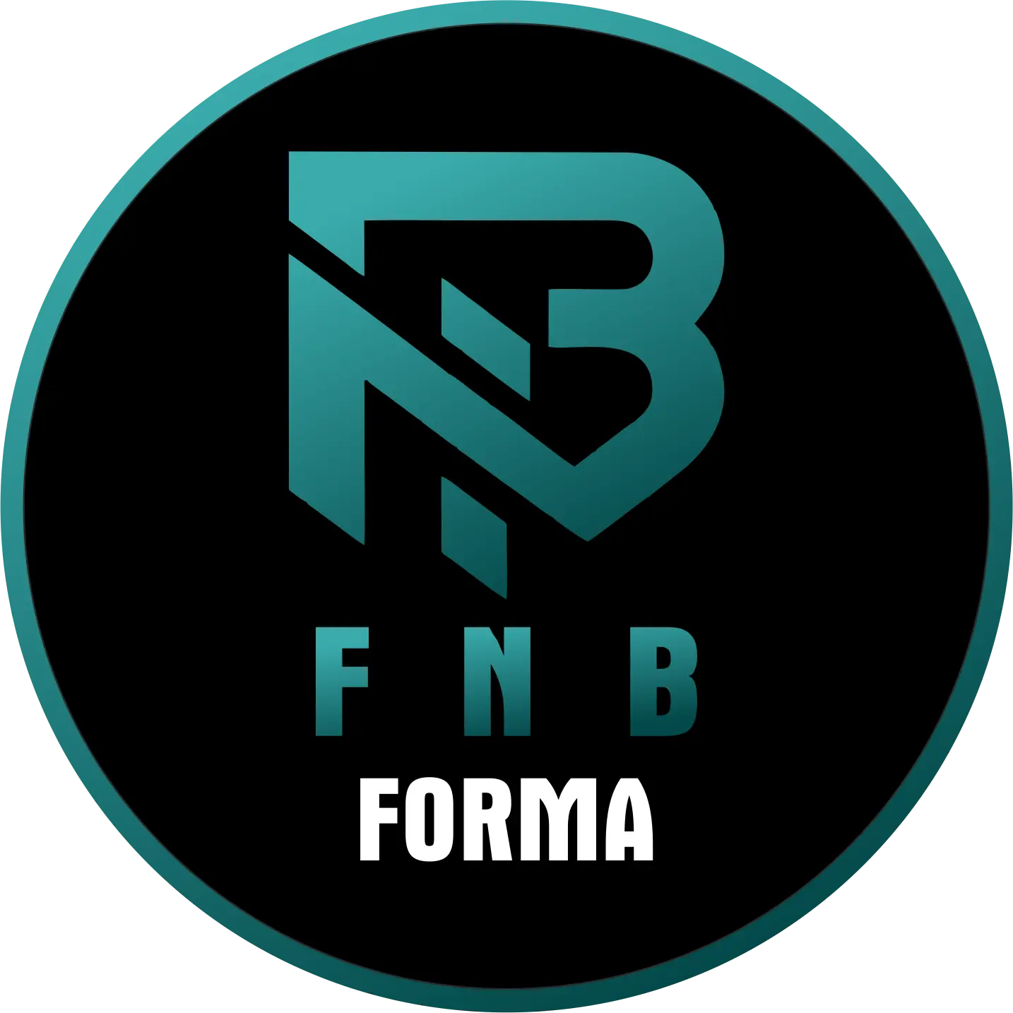 FNB Logo
